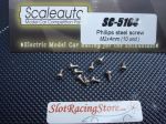 Scaleauto steel screws M2 x 4mm Philips type