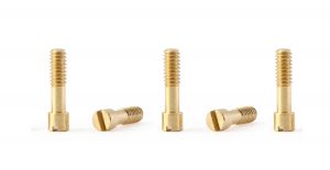Policar metric screws M2  x 7 mm, brass, 5 pcs