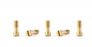 Policar metric screws M2  x 5 mm, brass, 5 pcs
